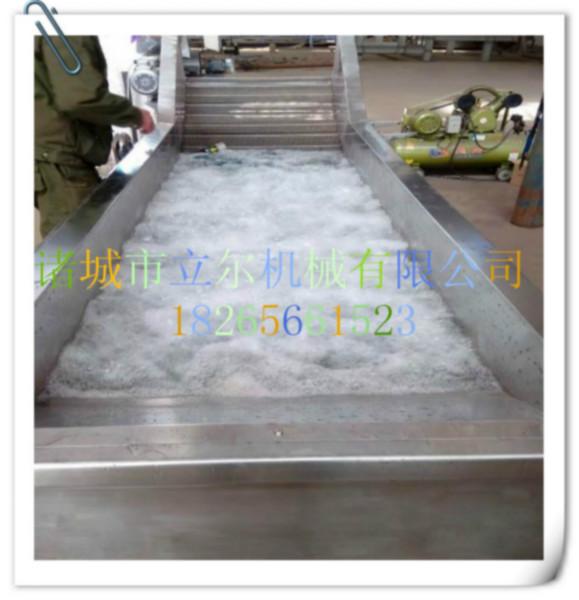 供應(yīng)白菜清洗機(jī) 白菜清洗機(jī)生產(chǎn)廠家 白菜清洗機(jī)價(jià)格