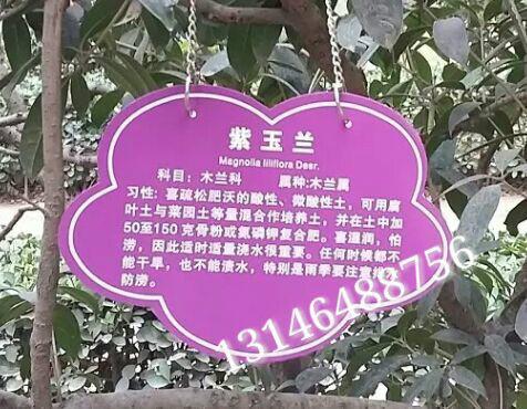 供應(yīng)植物介紹牌，北京植物介紹牌廠家定做