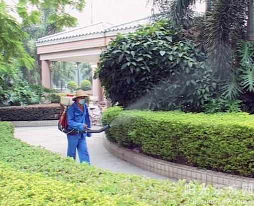 供應(yīng)中山白蟻防治公司怎么消滅白螞蟻