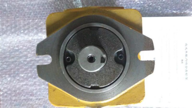 供應(yīng)剪板機(jī) 折彎機(jī) 注塑機(jī)*齒輪泵