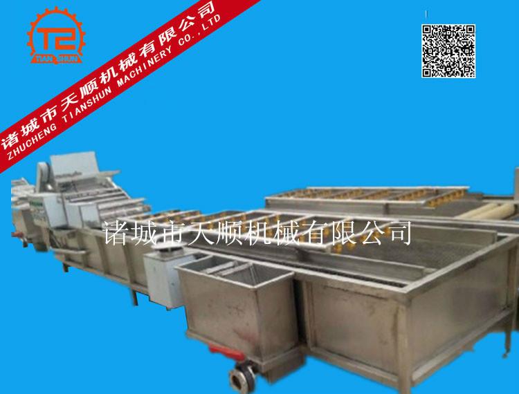 供應(yīng)猴頭菇-金針菇-草菇清洗機(jī)