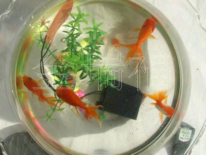 供應(yīng)發(fā)熱保暖鞋電池