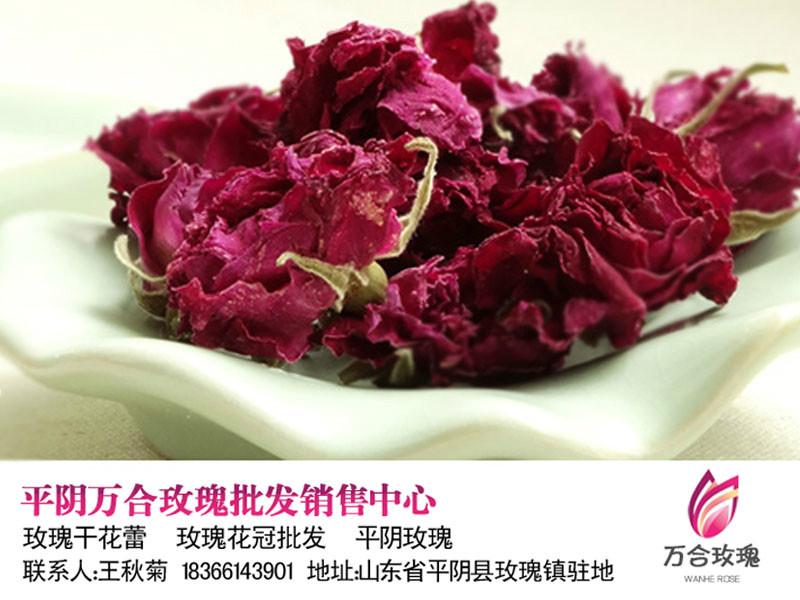 2015年平阴玫瑰茶批发干玫瑰花蕾图片