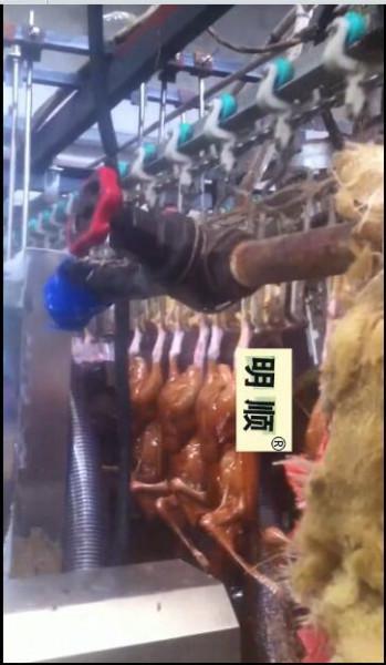 供應(yīng)屠宰設(shè)備家禽噴蠟機