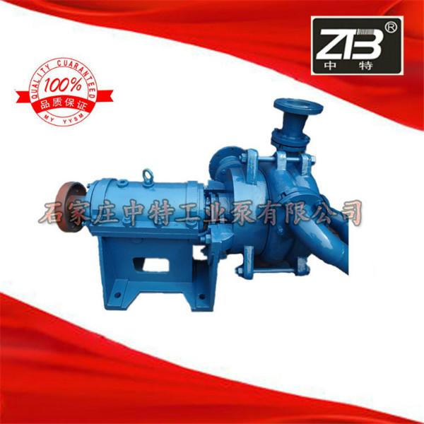 供應(yīng)入料泵配件 壓濾機(jī)*泵 壓濾機(jī)進(jìn)料泵 石家莊*工業(yè)泵廠