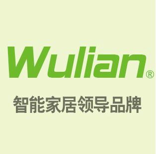 供应Wulian澳标墙面插座