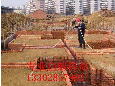 供應(yīng)順德*單位白蟻防治電話