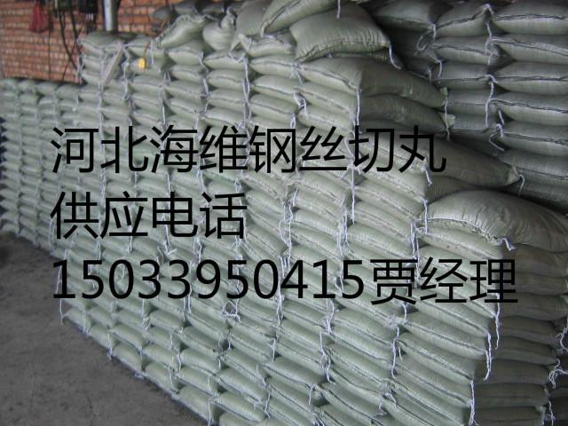 供應(yīng)鋼絲切丸拋光磨料