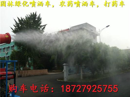 供应12方洒水车多少钱，12方绿化洒水车，道路养护洒水车图片